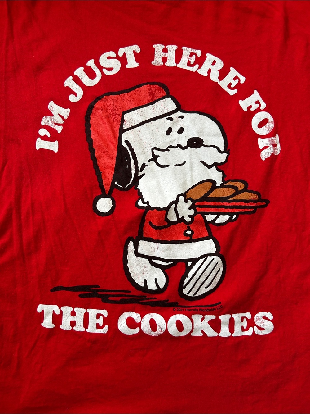 Peanuts Snoopy Christmas shirt